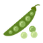 pulses